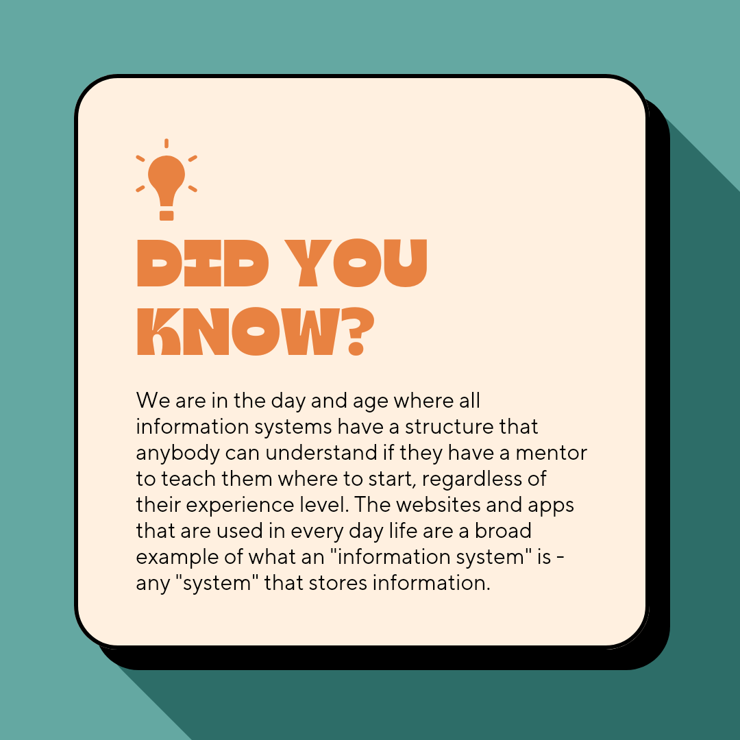 System Implementation Consult