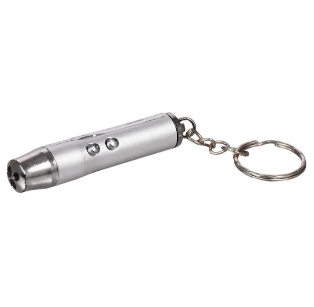 2-in-1 LED Laser Pointer Key Chain - Silver