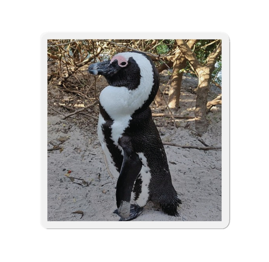 African Penguin - Magnet