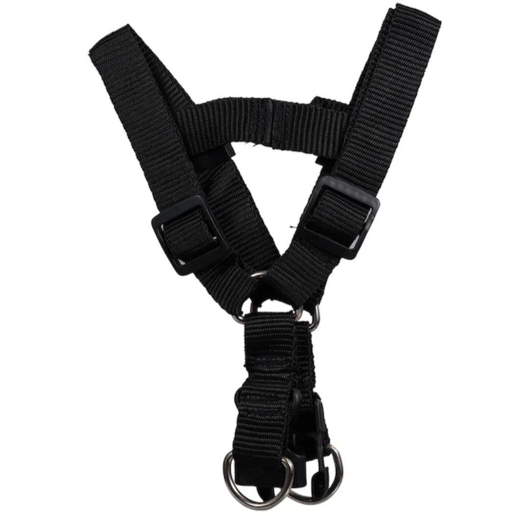 Animal Harness - Black