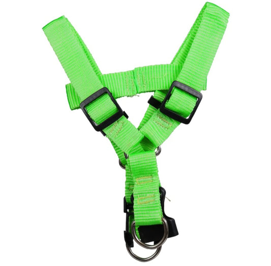 Animal Harness - Green