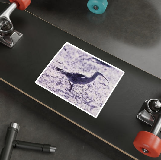 Eskimo Curlew - Decal