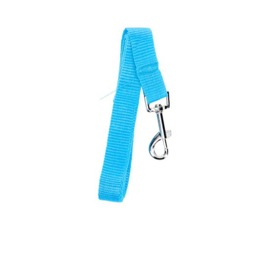 Extra-Large Dog Leash - Blue