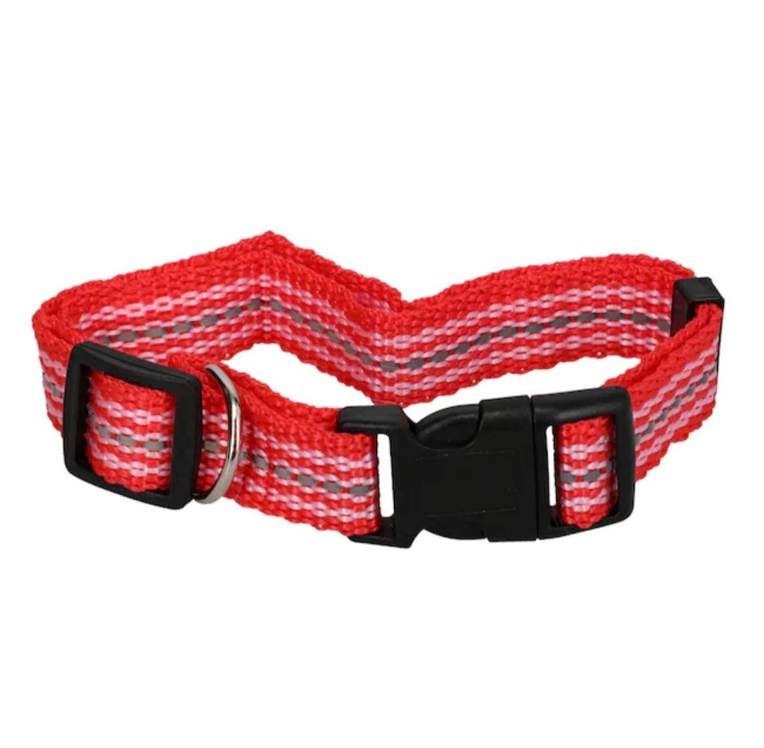 Medium Adjustable Dog Collar - Style #4