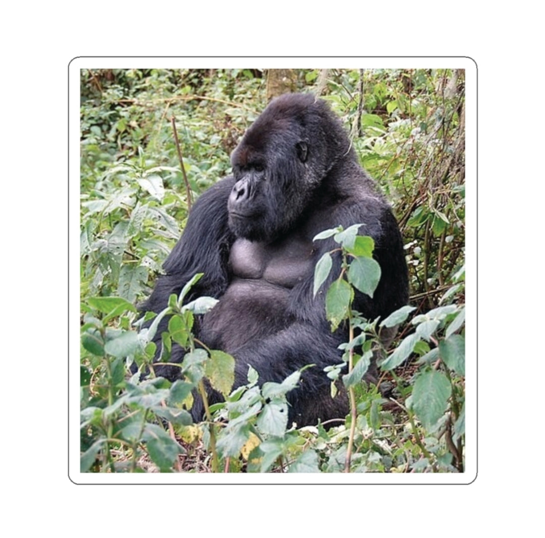 Mountain Gorilla - Decal