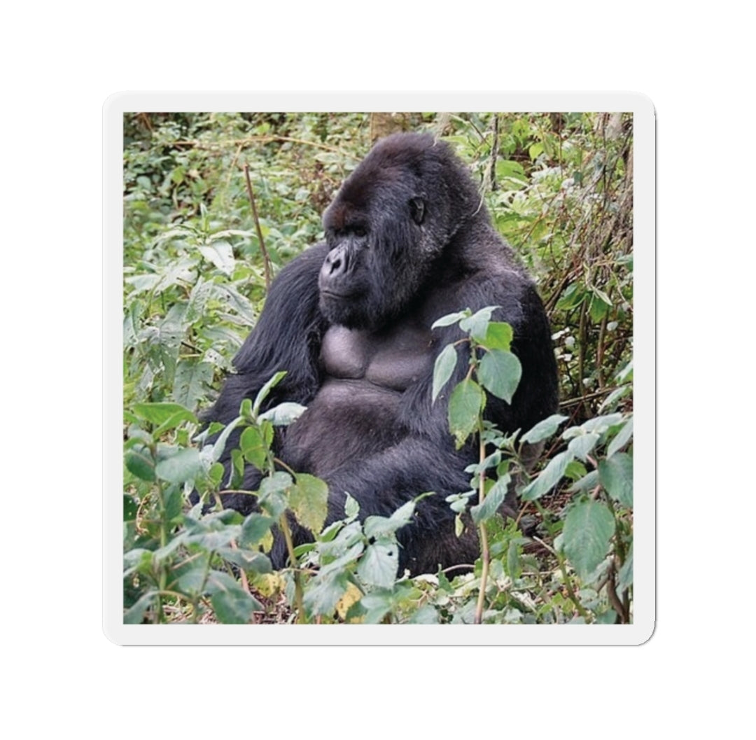 Mountain Gorilla - Magnet