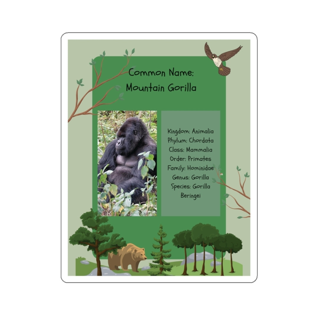 Mountain Gorilla Infographic - Decal