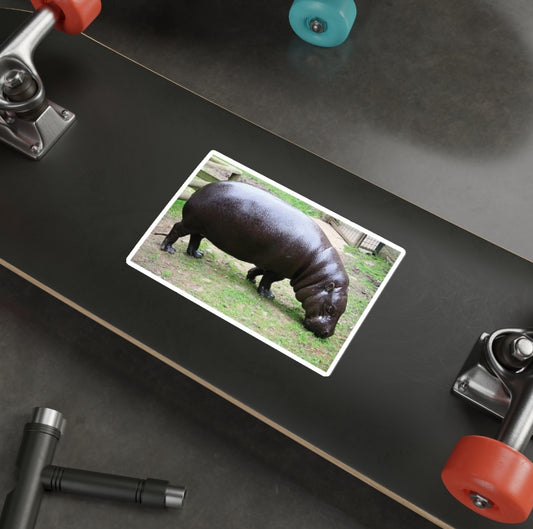 Pygmy Hippopotamus - Decal