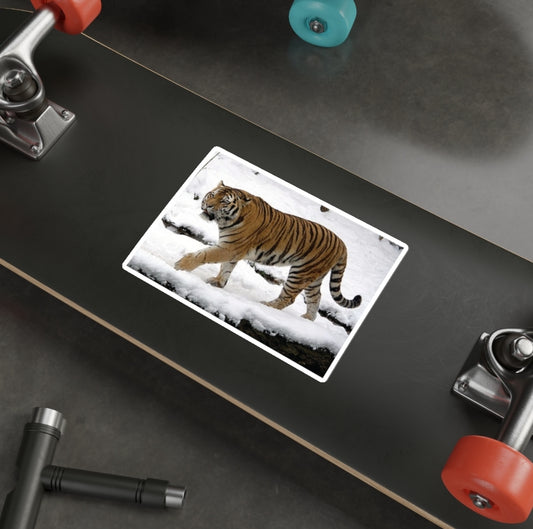 Siberian Tiger - Decal