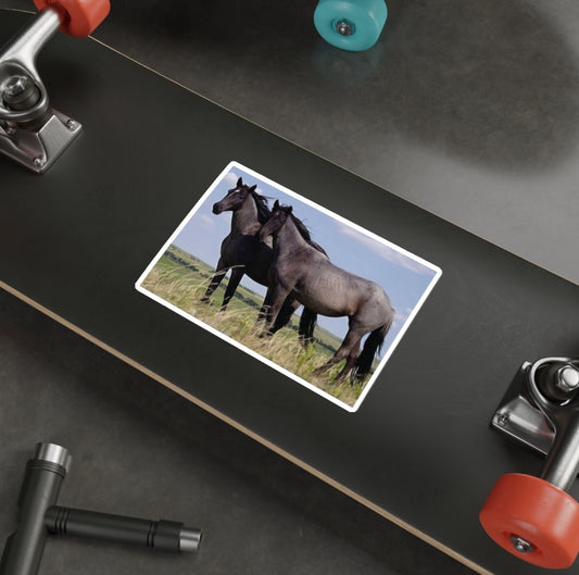 Wild Horse - Decal