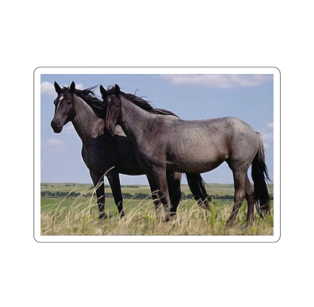 Wild Horse - Decal