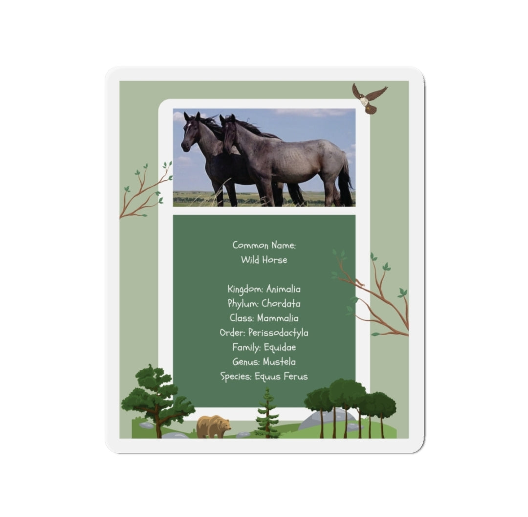 Wild Horse Infographic - Magnet